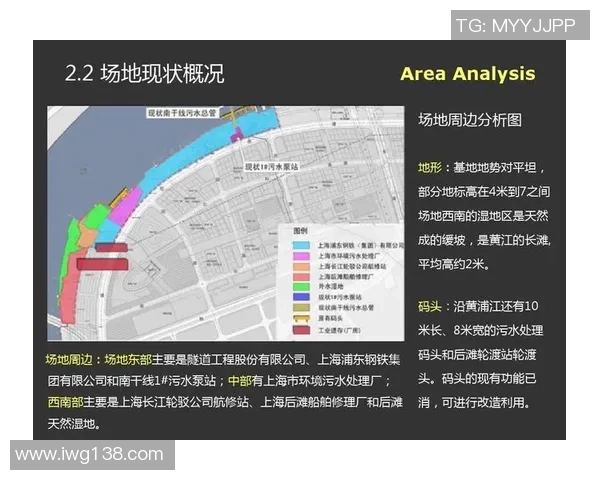 上海排球队运营策略分析与发展前景探讨